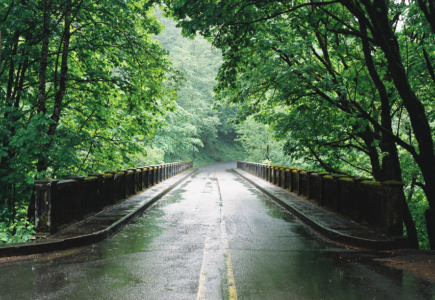 Wet roads